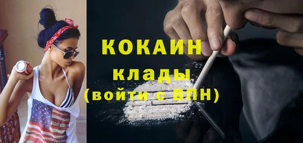 apvp Няндома