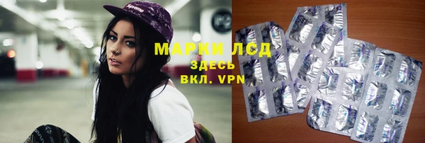 apvp Няндома