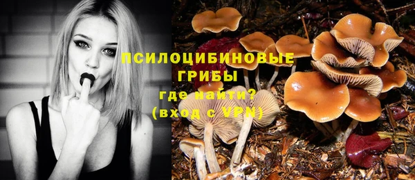 apvp Няндома