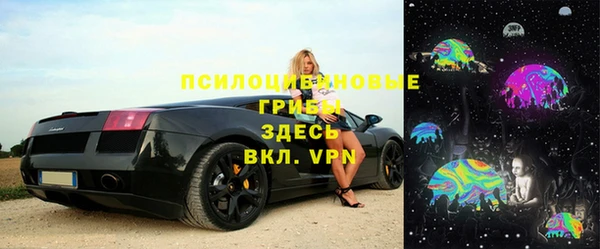 apvp Няндома