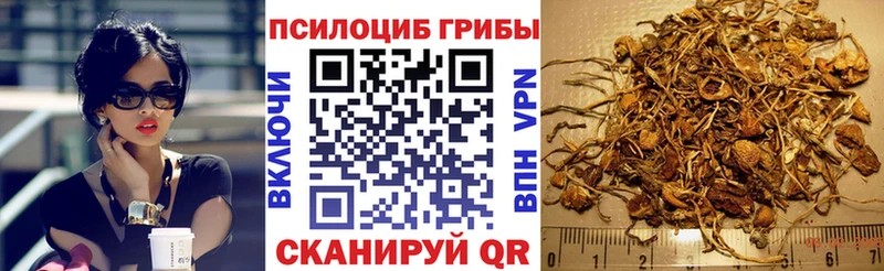 Галлюциногенные грибы MAGIC MUSHROOMS Североморск